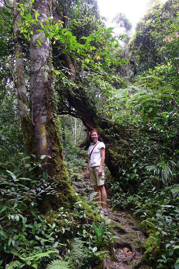 Diese Natur, das üppige Grün sind einfach unbeschreiblich