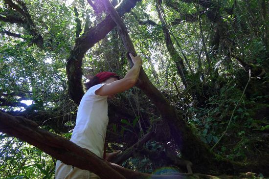 Zum Glück sind die Bilder nicht vertont, meine Kommentare dazu waren nicht ganz jugendfrei