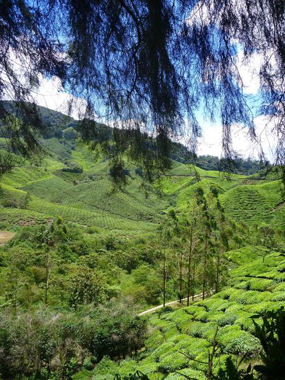 Der Blick über die grünen Hügel ist unglaublich, mit jeder Wolke oder Veränderung des Sonnenstandes ändern sich die Farben