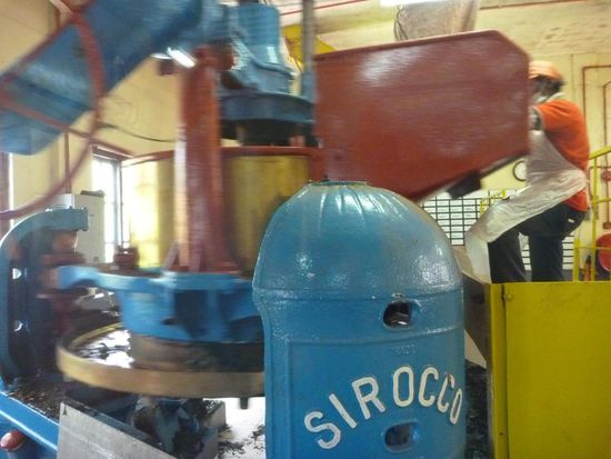 Erster Schritt der Teeverarbeitung ist das Zerkleinern der frischen Blätter.
Es riecht überall herrlich nach frischem Tee.