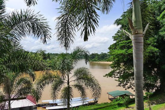 Atemberaubender Blick auf den Fluss