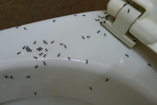 Natur pur eben, zum Glück lokal und Tageszeit abhängig begrenzt