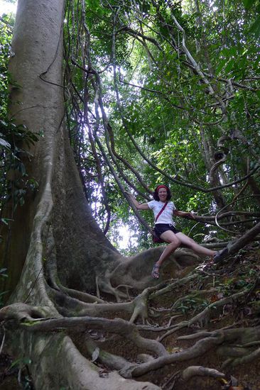 Anfangs noch Spass auf Lianen