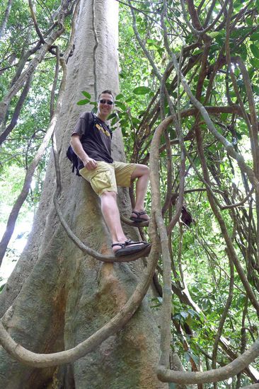 Höher hinauf ist immer möglich