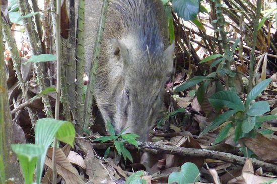 Wir trafen auf uns bekannte Tiere...