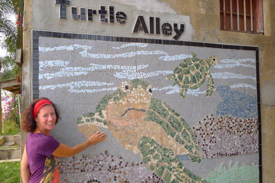 Die berühmte Schildkrötengasse in Chinatown. Hier dreht sich alles um den Schutz der bedrohten Meeresschildkröten
