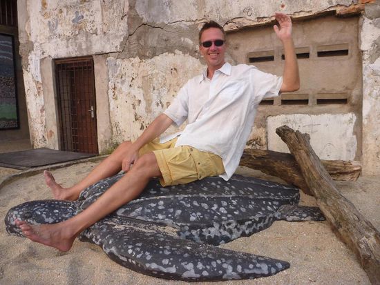 Diese grosse Steinschildkröte regt die Phantasie an