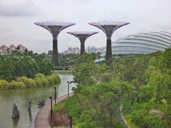 Blick auf  "Gardens by the Bay", ein schöner grosser Park mit  grossen Betonbäumen und die Gewächshäuser die als architektonische Meisterwerke gelten.......