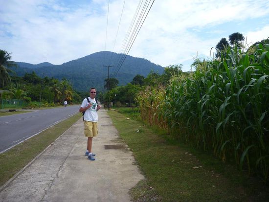 Der Weg zum Gunung Gading Nationalpark war lang ( nicht wirklich, nur ca. 3 km), einsam und heiss