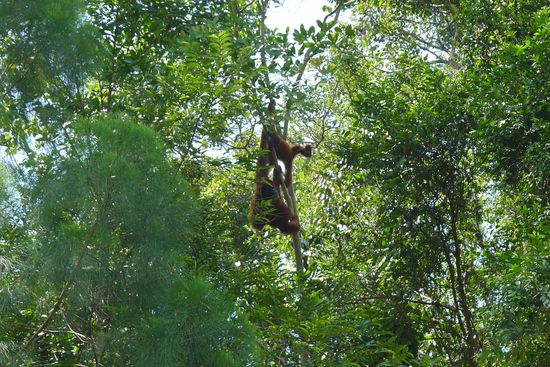 Dafür hatten wir später eine Privatvorstellung von Mutter und Kind. Da waren wir für den verpassten Bus dankbar
