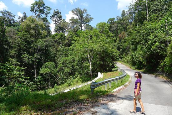 Diesen Weg waren wir nun schon mehrmals gelaufen