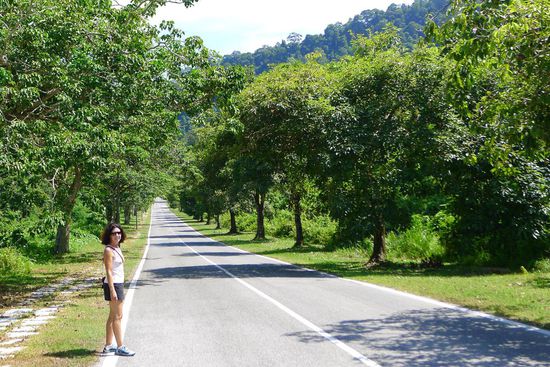 Santubong,auch hier  mussten wir erst einmal zum Nationalpark Eingang laufen