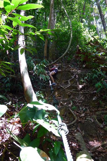 Die schwierigsten Stellen der Wege waren mit Seilen gesichert, man sieht mich am Abhang oben im schlammigen Gestrüpp rumturnen