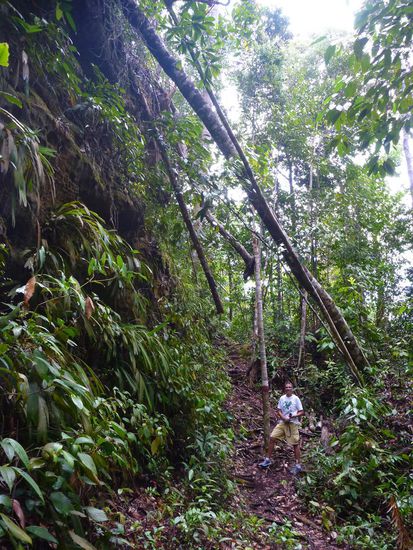 Unser erster Weg führte uns bergauf ......