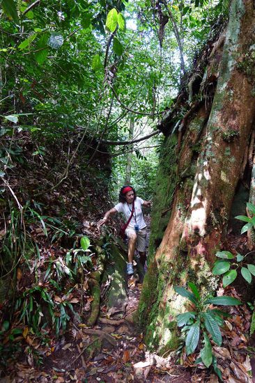 Über Stock und über Stein gehörte mit dazu