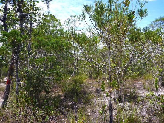 Auf dieser eher kargen Hochebene fanden wir sie....