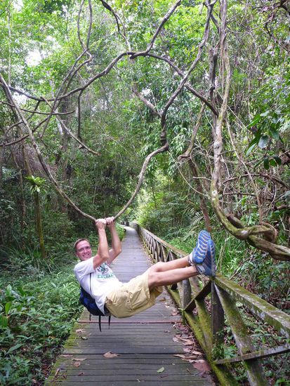 Auf dem Weg zu den Niah Caves. Lianen-Spiele sind mittlerweile Olivers neues Hobby