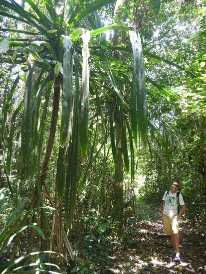 Am Beginn des Madu Trails. Hier war es noch schön trocken