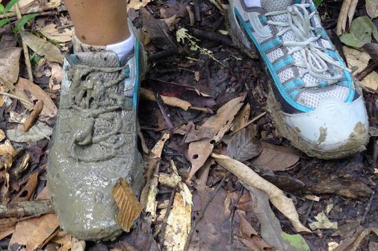 Der Fehltritt schlechthin, abgerutscht ins Modder-Loch, die neuwertigen Schuhe (neiiiiiin), im Schuh alles nass und schlammig. Olivers Schadenfreude währte nur kurz, bald hatten wir jeder 2 verschlammte Schuhe