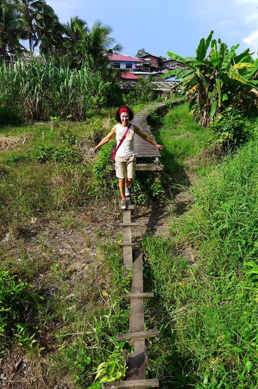Wenn der reguläre Weg leicht zusammengebrochen ist, tut es auch eine improviesierte Hühnerleiter. Nur nicht zuviel Arbeit investieren! Ist unnötiger Stress