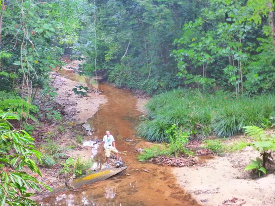 Wasserläufe durchziehen den Park.....