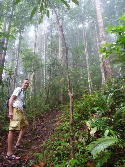 Nicht Gorillas, sondern Oliver im Nebel