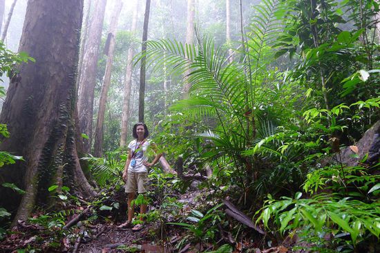 Wasserfälle, Flüsse, Regen........ die Luftfeuchtigkeit hier war spürbar sehr hoch