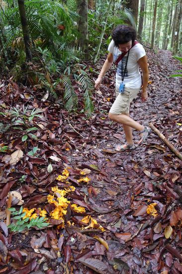 Fusskontrolle im Minutentakt