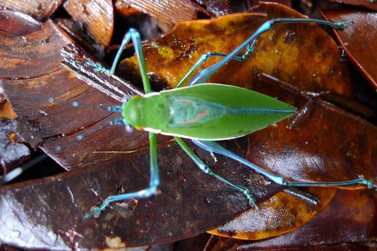 Der kleine Racker war uns da schon sympathischer