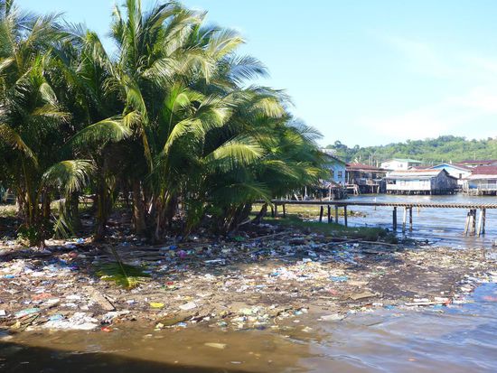 Das gehörte leider auch dazu
