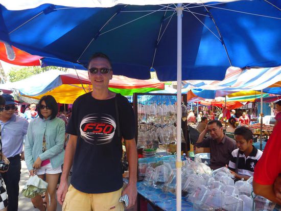 Sonntags gab es den Gaya Street Markt, hier ein Stand mit Fischen für das heimische Aquarium
