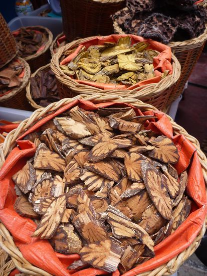 Interessant waren die Stände mit den Naturarzneimitteln, leider konnten wir auf Grund von Sprachbarrieren keine genauen Informationen erhalten.
Zum einfach mal Ausprobieren waren wir nicht mutig genug