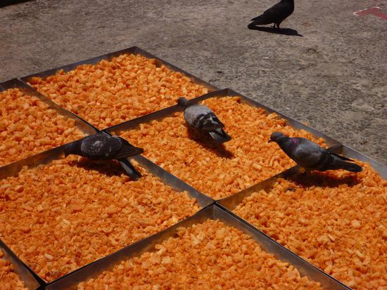 Obst wird im Freien getrocknet und anschließend zum Verkauf in Tüten abgefüllt.Halt echt Bio. Na wer hat Lust auf ein Tütchen ?