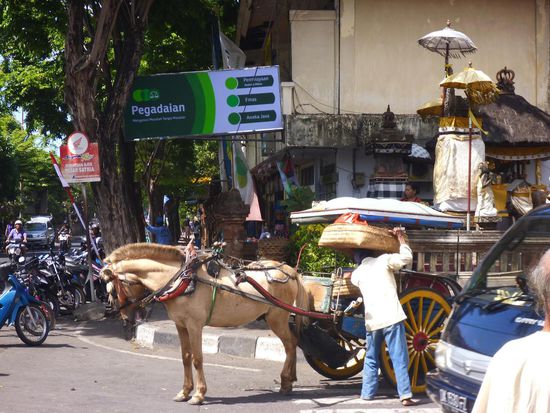 Ein Dokar, ein von einem Pferd gezogener Buggy, sieht man öfters in den Strassen von Denpasar