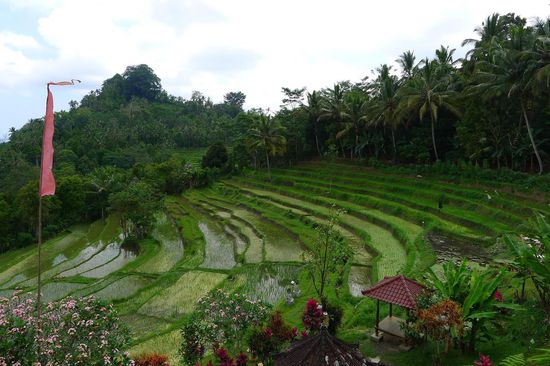 Blick auf  Reisterassen