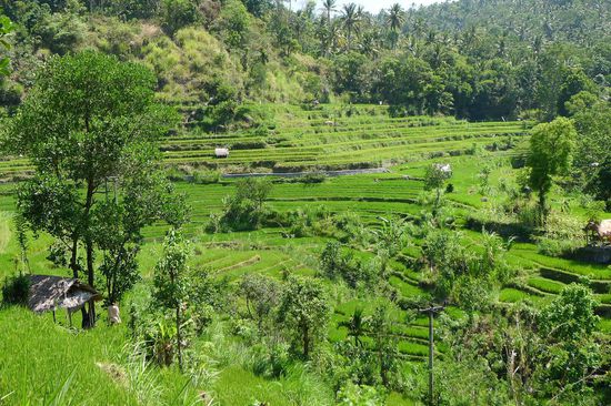 Wieder einmal idyllische Landschaft