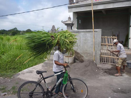 Wir fanden es immer wieder beeindruckend, was die Leute in Bali alles an Lasten auf dem Kopf transportieren.