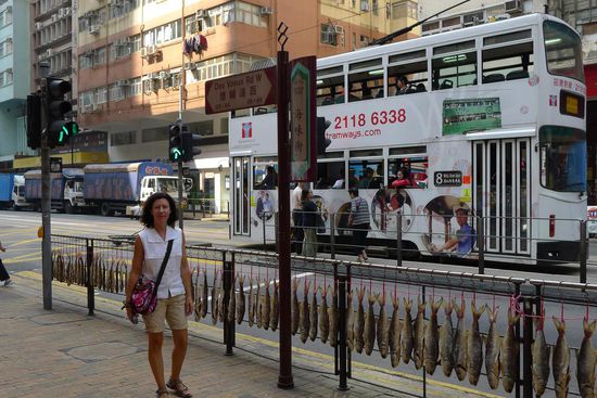 Die Geländer am Strassenrand eignen sich auch gut zum Fische trocknen.