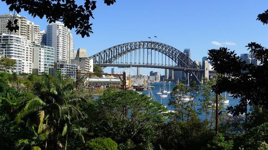Blick von der Lavender Bay auf die City und die Hafenbrücke, klassisches Fotomotiv