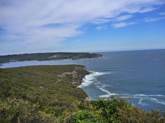 Blick über die Küstenlinie des "Sydney Habour Nationalpark" mit seinen vielen Buchten