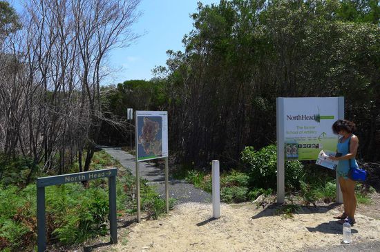 Erst einmal orientieren wo es weitergehen soll. Am North Head gibt es mehrere interessante Wege, das schafft man gar nicht an einem Tag.