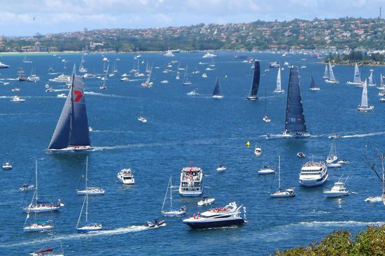 Die Rennboote sind durch ihre Grösse und dunklen Segel nicht zu übersehen. Das Boot mit der roten 7 war das spätere Gewinnerboot