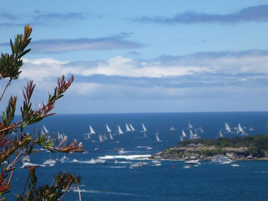 Leider war alles viel zu schnell vorbei. Nach kurzer Zeit entschwand die Flotte aufs offene Meer