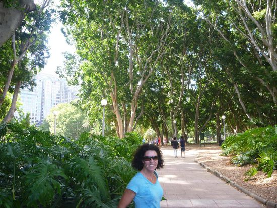 Der Weg nach Kings Cross führt für uns durch den Botanischen Garten.
Laufen ist gesund und Busfahren seit Januar noch teurer, das motiviert zu Bewegung an frischer Luft.