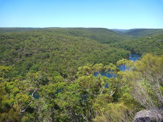 Am Bungoona Lookout mit weitem Blick über den Nationalpark und den Hacking River