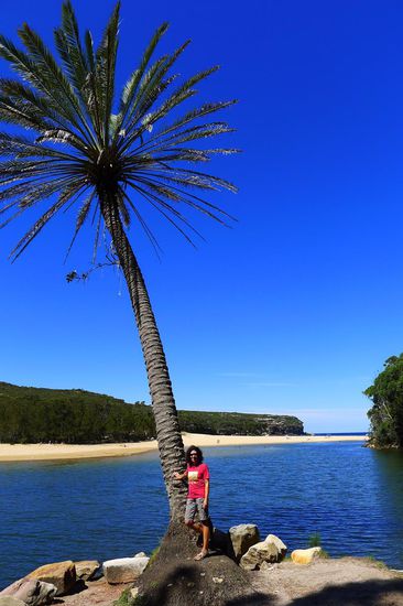 Am Strand von Wattamolla......