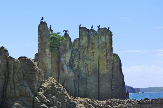 Der Kiama Coast Walk führt an mehreren Stränden entlag, an den Cathedral Rocks vorbei...... ( gerne von Kormoranen genutzt zum Trocknen des Gefieders)