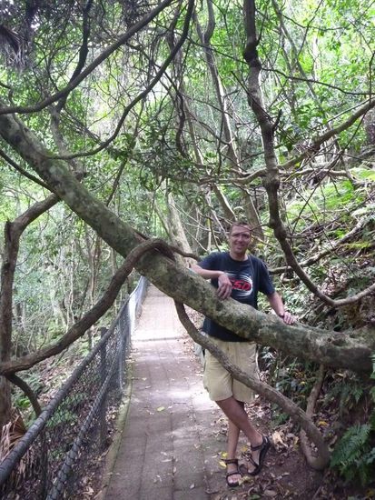 Im Budderoo Nationalpark, das nennt man doch mal gepflegte Spazierwege!