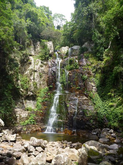 Der Minnamurra Wasserfall im Budderoo Nationalpark