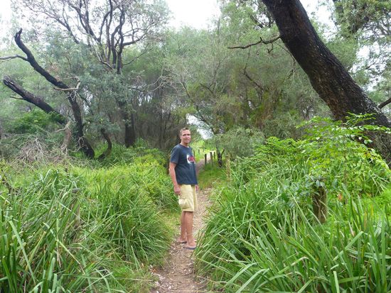 Auch am Callala Beach führen viele Wege ins Grüne.....